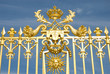 Versailles Palace Park golden Gate Detail