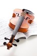 Violin