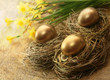Golden Nest Eggs