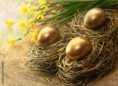 Photo : Golden Nest Eggs Golden Nest Eggs