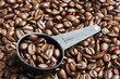 Coffee Beans in Measurement Spoon