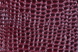 Crocodile leather