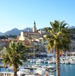 le palme del porto a Menton