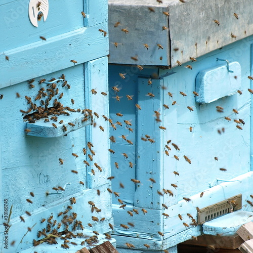 Foto: beehive and bee beehive and bee