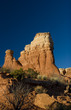 Foto: Layered in Time Layered in Time