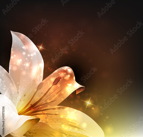 Vector: Flowers. Vector illustration. Flowers. Vector illustration.