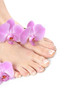 Beautiful feet with perfect spa french nail pedicure.isolated