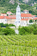 Durnstein, vineyard in Wachau Region, Lower Austria, Austria