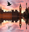 Big Ben in the evening with flying bird, London, UK Big Ben in the evening with flying bird, London, UK
