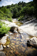 Mountain stream corsica