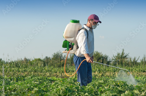 Photo: Man spraying vegetables Man spraying vegetables
