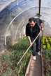 Working in real greenhouse