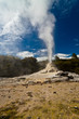Lady Knox Geyser