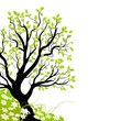 vecteur série arbre vectoriel et fleur illustration vectorielle