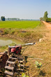 agriculture