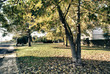 Colors of Fall in Lucca, Tuscany Colors of Fall in Lucca, Tuscany