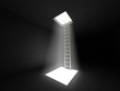Conceptual image - way to freedom