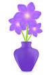 Three violet geranium flowers background,vector