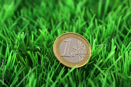 Photo: euro im gras euro im gras