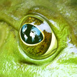 Environment symbol of global health