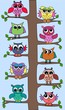 colourful owls sitting in a tree