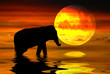 Africa moon