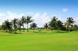 golf course tropical palm trees Mexico golf course tropical palm trees Mexico