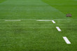 Keep off the grass Keep off the grass