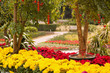 Floral and lantern decoration in garden