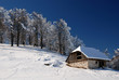 Old wooden rustic house, Romania