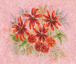 Flowers on a wool
