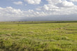 Amboseli National Park Amboseli National Park