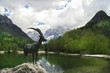 Slovenian Alps