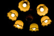 bulbs at night