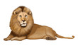 leone leone
