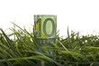 Photo: Geld Wachstum erfolg Business Geld Wachstum erfolg Business