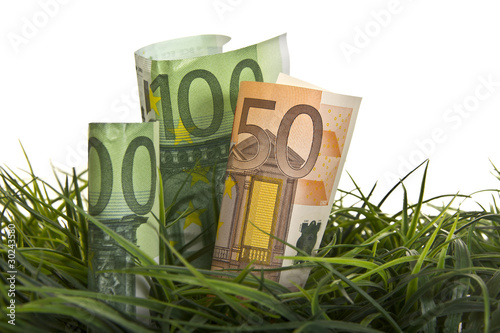 Photo: Geld in Wiese beim Wachsen Geld in Wiese beim Wachsen