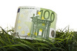 Photo: 100 Euro auf Wiese 100 Euro auf Wiese