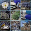 Relaxen mit Lavendel