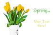 Yellow tulips Yellow tulips
