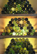 Bottles