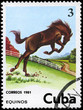 CUBA - CIRCA 1981 Horse 3c