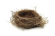 Foto: Empty bird nest Empty bird nest