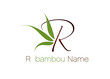 logo feuille de bambou
