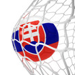Slovakian soccer ball inside the net