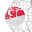 Singaporean soccer ball inside the net