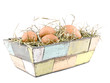 Eggs lying on hay in flowerpot