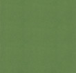 Green leather texture closeup