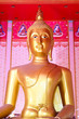 Giant golden buddha