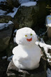 雪